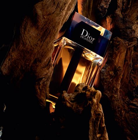 dior jewelry 2020|dior cologne 2020.